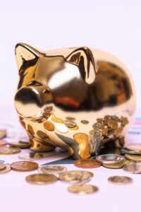 pexels freestockpro 12955822